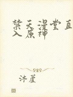 禁天漫堂直接进入原神