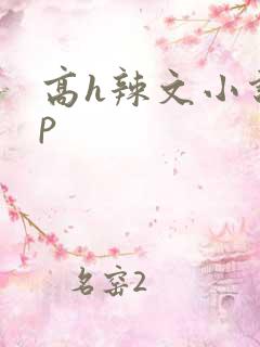 高h辣文小说np
