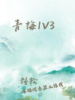 青梅1V3