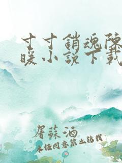 寸寸销魂陈聪王暖小说下载
