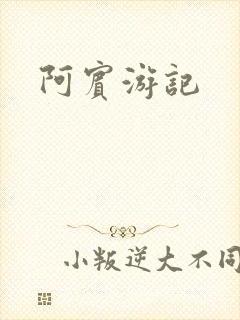 阿宾游记