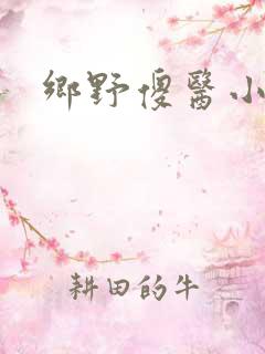 乡野傻医小说