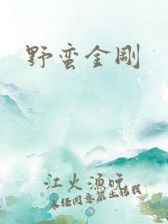 野蛮金刚