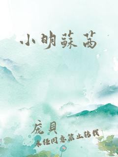 小明苏茜