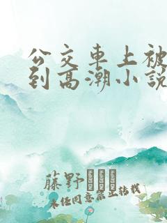 公交车上被人摸到高潮小说