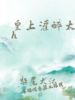 皇上灌醉太子妃h