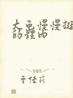 大龟慢慢挺进我的体内