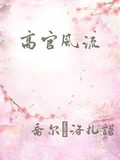 高官风流