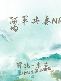 随军共妻NP纯肉