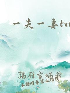 一夫一妻txt