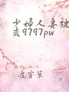 少妇人妻被粗大爽9797pw