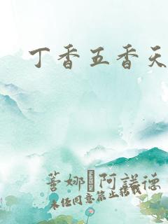 丁香五香天麻豆