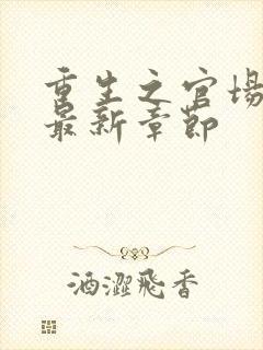 重生之官场风流最新章节