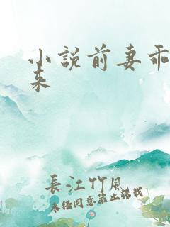 小说前妻乖乖回来