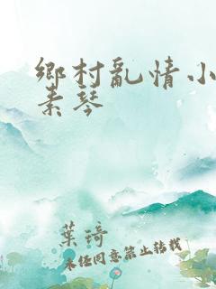 乡村乱情小雷与素琴