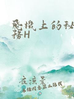 飞机上的秘密服务H