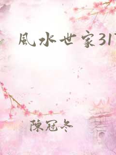 风水世家317