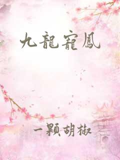 九龙宠凤