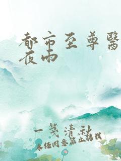 都市至尊医仙 夜雨