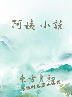 阿姨 小说