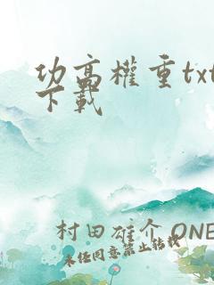 功高权重txt下载