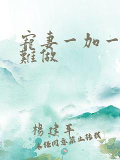 宠妻一加一老婆难做