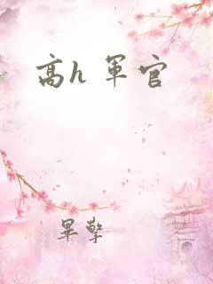 高h 军官