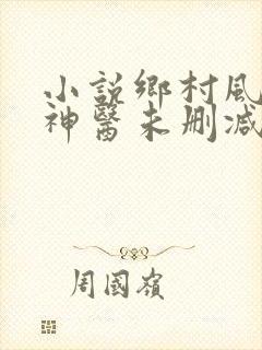 小说乡村风流小神医未删减版