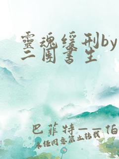 灵魂缓刑by 二团书生