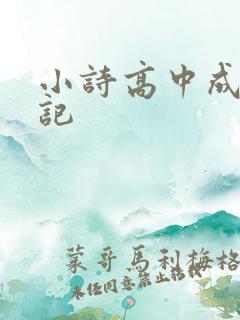 小诗高中成长日记