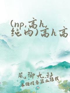(np,高h,纯肉)高h高辣文