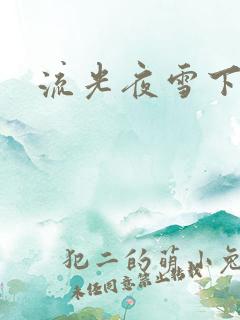 流光夜雪下载