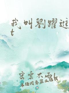我叫刘跃进txt
