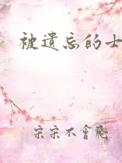 被遗忘的士兵