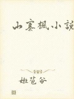 山寨枫小说网