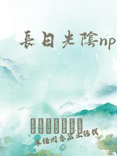 长日光阴np
