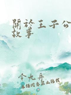 关于王子公主的故事