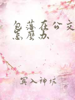包落在公交车上怎么办