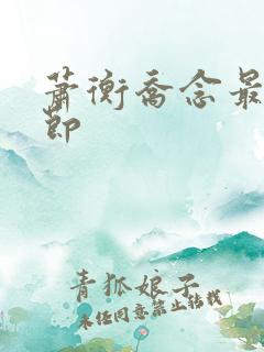 萧衡乔念最新章节