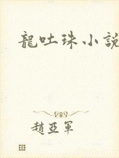 龙吐珠小说