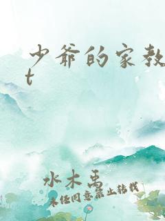 少爷的家教txt