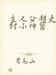 主人公赵大宝乡村小神医