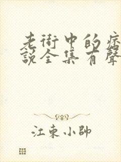 老街中的痞子小说全集有声免费听