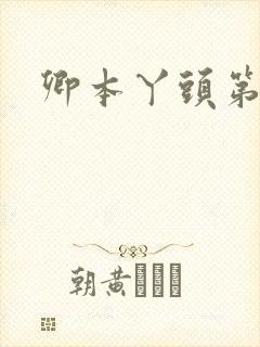 卿本丫头第二部
