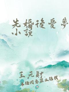 先婚后爱梦筱二小说