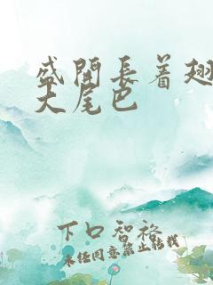 盛开长着翅膀的大尾巴