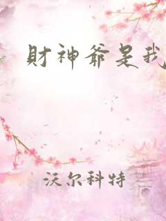 财神爷是我老板
