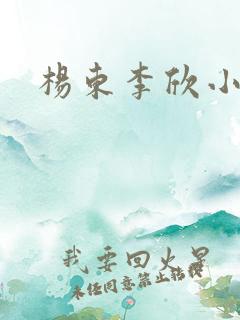 杨东李欣小说