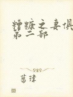 糟糠之妻俱乐部第二部