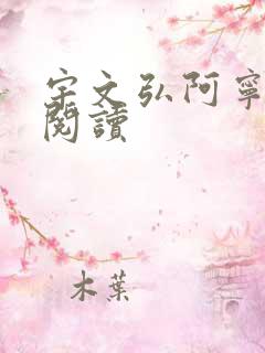 宇文弘阿宁全文阅读